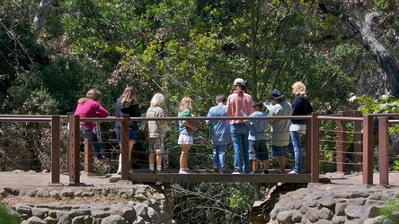 Weekly News Brief 11/11-11/18 To bolster academics, Philly schools turning to the outdoors | Experts stress project-based learning for all-day kindergarten 