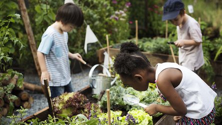 Garden Spaces for Learning