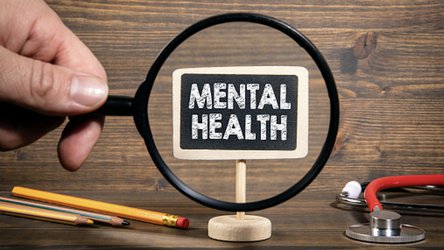 What America Needs to Tackle the Youth Mental Health Crisis: A Guide to MTSS In-School Mental Health Services, Tier 1